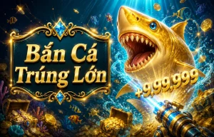 Bắn Cá tại liquorlightsnc.com