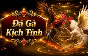 Giao diện sảnh Đá Gà trên liquorlightsnc.com