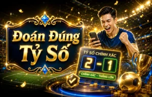 liquorlightsnc thể thao